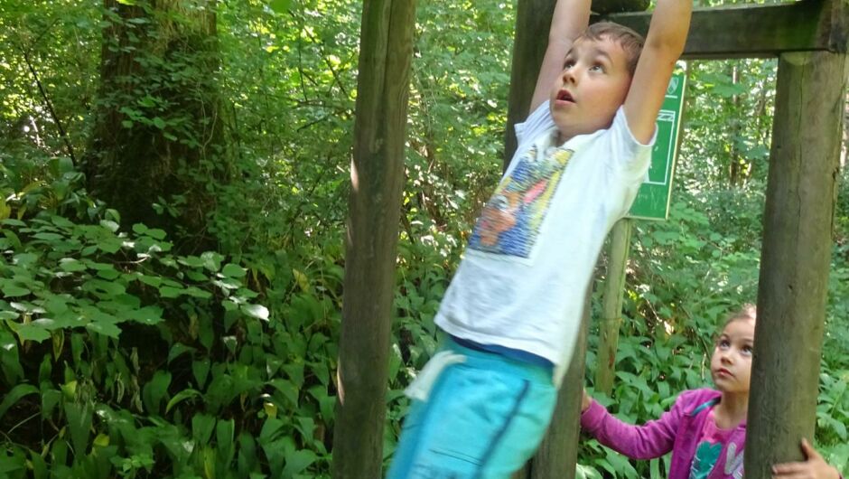 KIGA Rosenlächer: Waldwoche KIGA Rosenlächer: Waldwoche