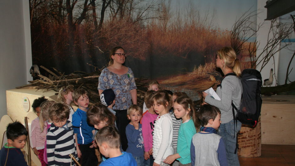 KIGA Wiesenrain: Der Bieber ist zurück in Vorarlberg KIGA Wiesenrain: Der Bieber ist zurück in Vorarlberg