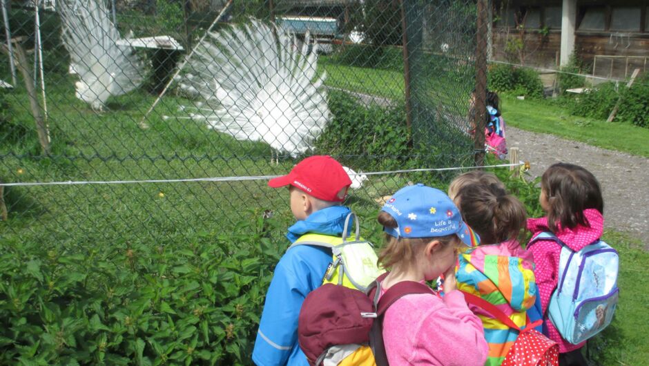 KIGA Augarten - Wir machen einen Ausflug KIGA Augarten - Wir machen einen Ausflug