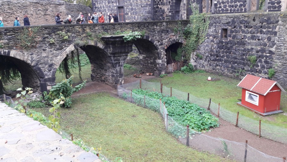 Die "Essbare Stadt" Andernach