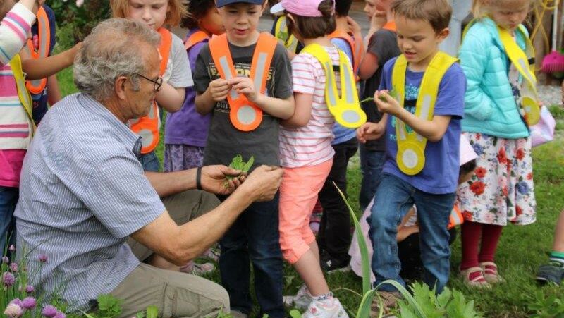 KIGA Wiesenrain: Auf den Spuren des Maulwurfes