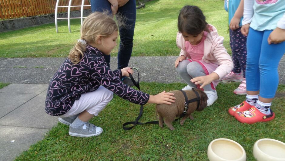 KIGA Augarten: Die kleine OJAD-Farm KIGA Augarten: Die kleine OJAD-Farm