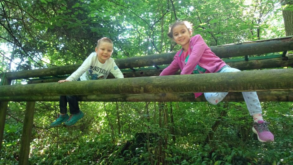 KIGA Rosenlächer: Waldwoche KIGA Rosenlächer: Waldwoche