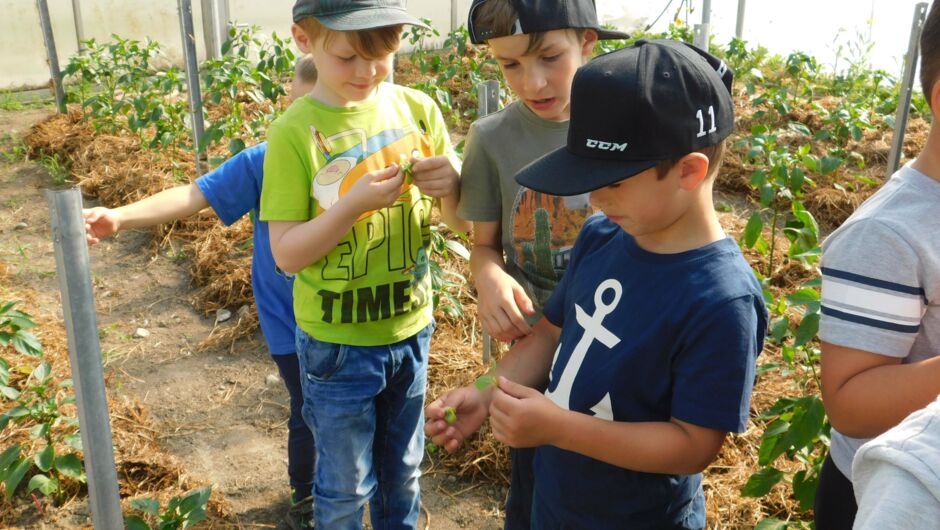 KIGA Wiesenrain: Es duftet in Wald und Feld KIGA Wiesenrain: Es duftet in Wald und Feld