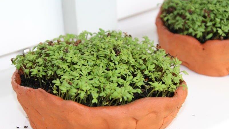 KIGA Wiesenrain: Auf den Spuren des Maulwurfes KIGA Wiesenrain: Auf den Spuren des Maulwurfes