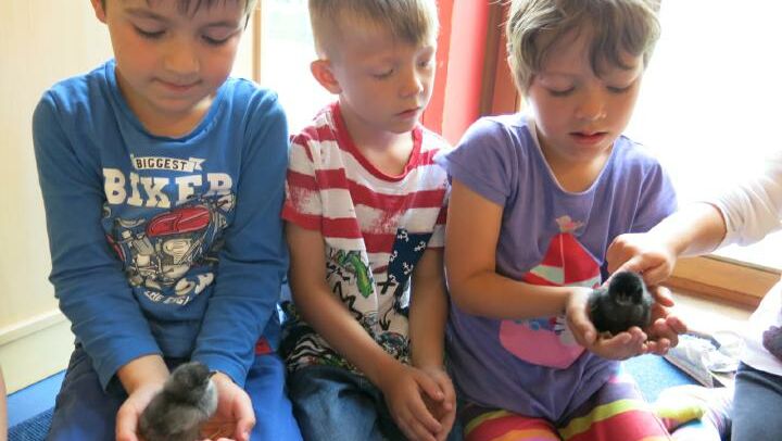 KIGA Am Schlatt: Bauernhofrallye KIGA Am Schlatt: Bauernhofrallye