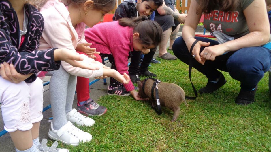 KIGA Augarten: Die kleine OJAD-Farm KIGA Augarten: Die kleine OJAD-Farm
