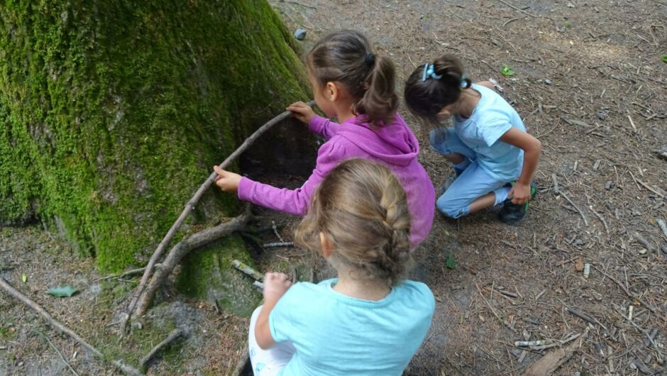 KIGA Rosenlächer: Waldwoche KIGA Rosenlächer: Waldwoche