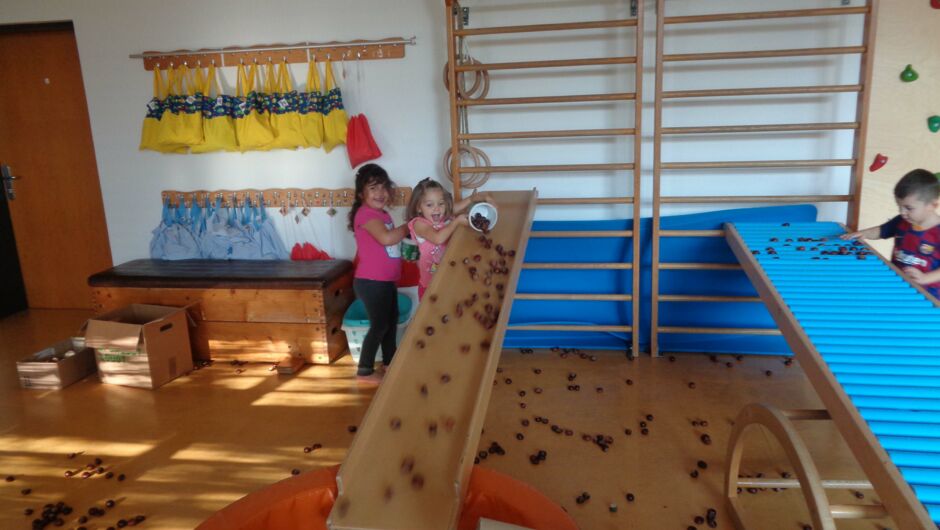 KIGA Augarten: Turnen mit Kastanien KIGA Augarten: Turnen mit Kastanien