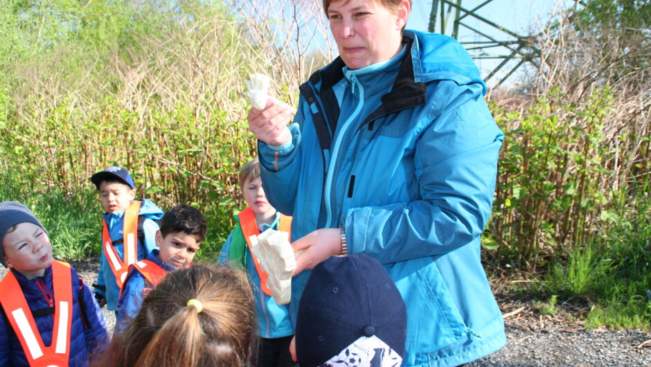 KIGA Wiesenrain: Der Bieber ist zurück in Vorarlberg KIGA Wiesenrain: Der Bieber ist zurück in Vorarlberg