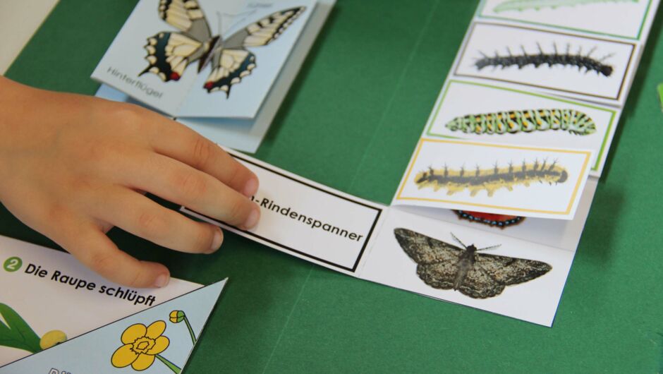 KIGA Rotkreuz: Von der Raupe zum Schmetterling KIGA Rotkreuz: Von der Raupe zum Schmetterling