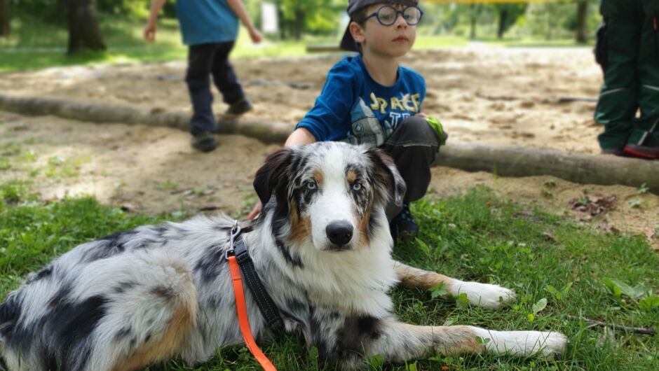 Riedkindergarten sucht nach Biberspuren Riedkindergarten sucht nach Biberspuren