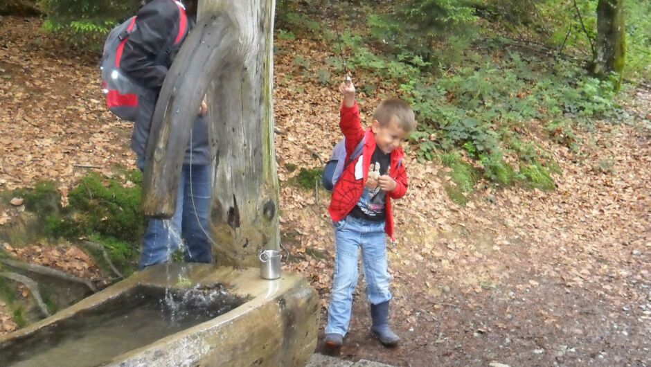 KIGA Augarten - Wir machen einen Ausflug KIGA Augarten - Wir machen einen Ausflug