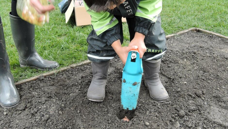 KIGA Rheindorf: Schlummernde Frühlingsboten KIGA Rheindorf: Schlummernde Frühlingsboten