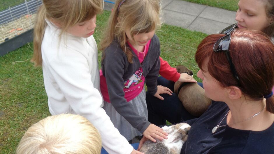 KIGA Augarten: Die kleine OJAD-Farm KIGA Augarten: Die kleine OJAD-Farm