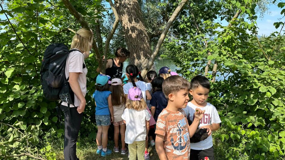 KIGA Weiler: Dem Biber auf der Spur KIGA Weiler: Dem Biber auf der Spur