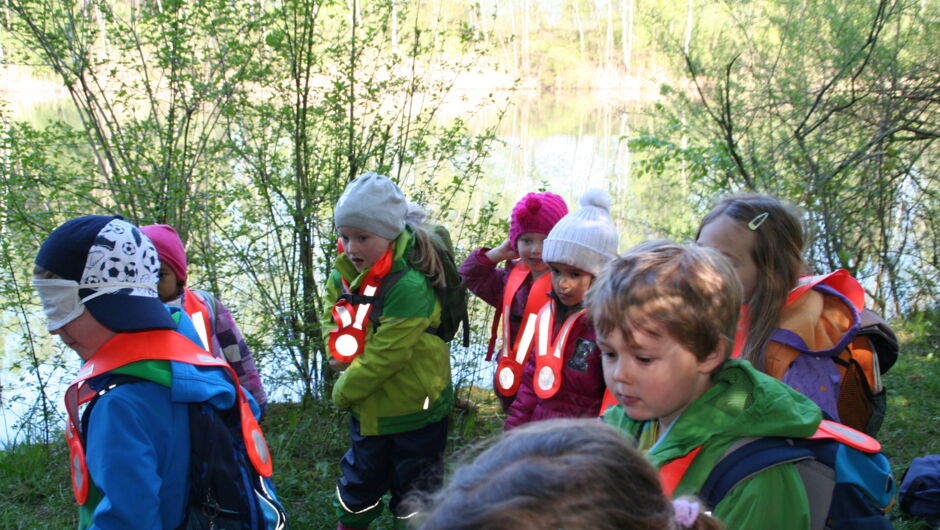 KIGA Wiesenrain: Der Bieber ist zurück in Vorarlberg KIGA Wiesenrain: Der Bieber ist zurück in Vorarlberg