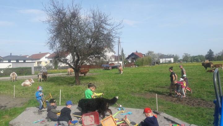 KIGA Am Schlatt: Bauernhofrallye KIGA Am Schlatt: Bauernhofrallye