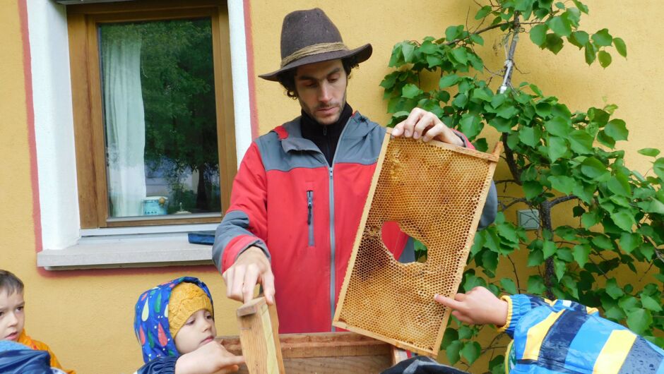 KIGA Wiesenrain: Summ, summ, summ...... KIGA Wiesenrain: Summ, summ, summ......