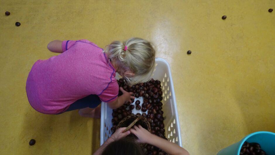 KIGA Augarten: Turnen mit Kastanien KIGA Augarten: Turnen mit Kastanien