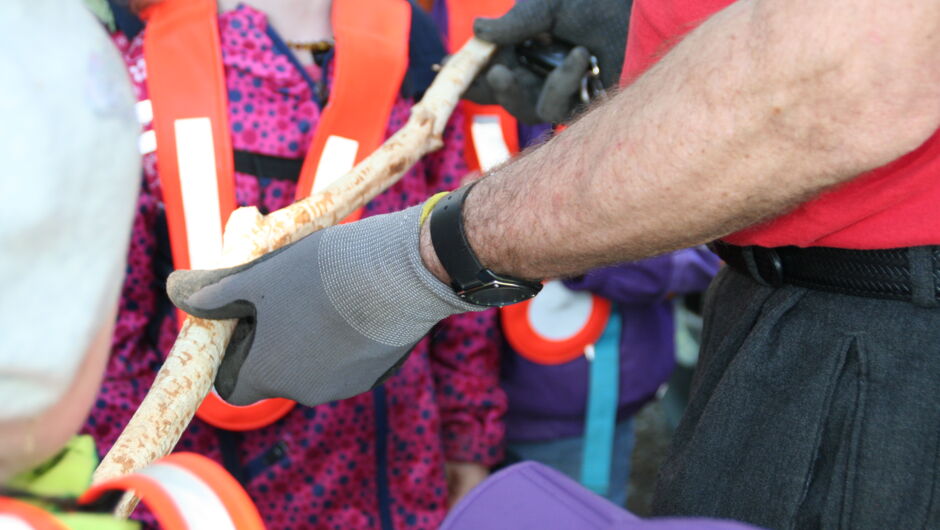 KIGA Wiesenrain: Der Bieber ist zurück in Vorarlberg KIGA Wiesenrain: Der Bieber ist zurück in Vorarlberg