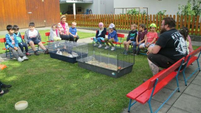 KIGA Augarten: Die kleine OJAD-Farm KIGA Augarten: Die kleine OJAD-Farm