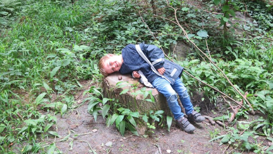 KIGA Rosenlächer: Waldwoche KIGA Rosenlächer: Waldwoche