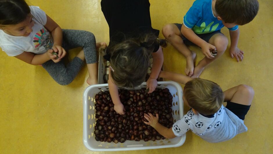 KIGA Augarten: Turnen mit Kastanien KIGA Augarten: Turnen mit Kastanien