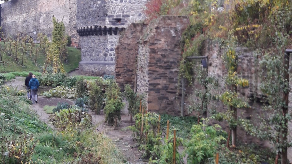 Die "Essbare Stadt" Andernach