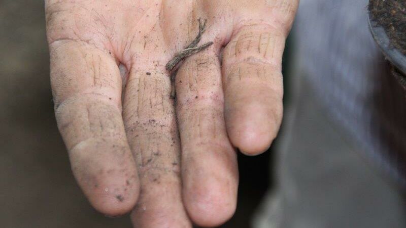KIGA Wiesenrain: Auf den Spuren des Maulwurfes KIGA Wiesenrain: Auf den Spuren des Maulwurfes