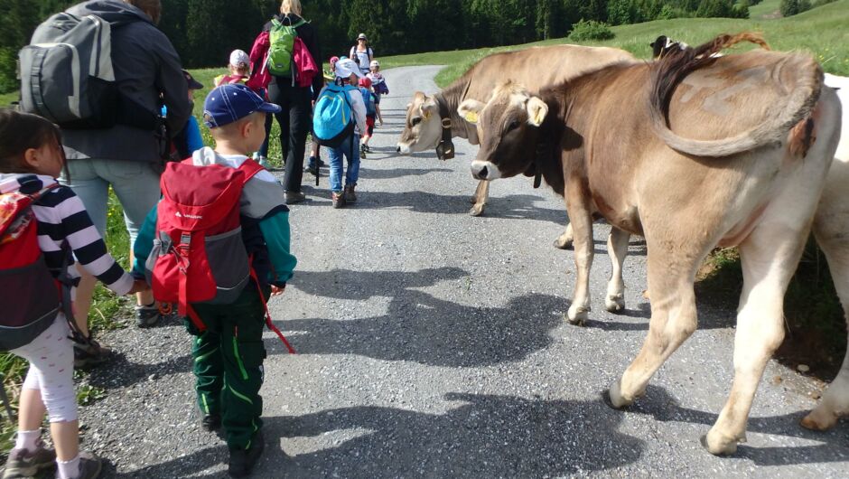 Riedkindi ist uf da Alpa doba Riedkindi ist uf da Alpa doba