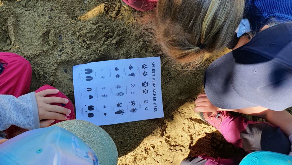 Riedkindergarten sucht nach Biberspuren Riedkindergarten sucht nach Biberspuren