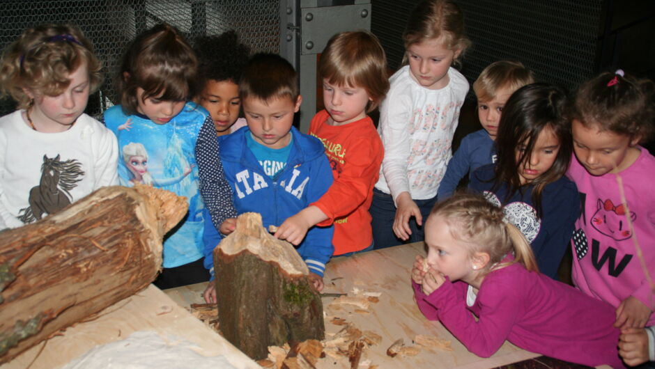 KIGA Wiesenrain: Der Bieber ist zurück in Vorarlberg KIGA Wiesenrain: Der Bieber ist zurück in Vorarlberg