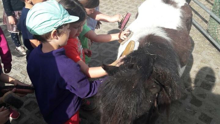 KIGA Am Schlatt: Bauernhofrallye KIGA Am Schlatt: Bauernhofrallye