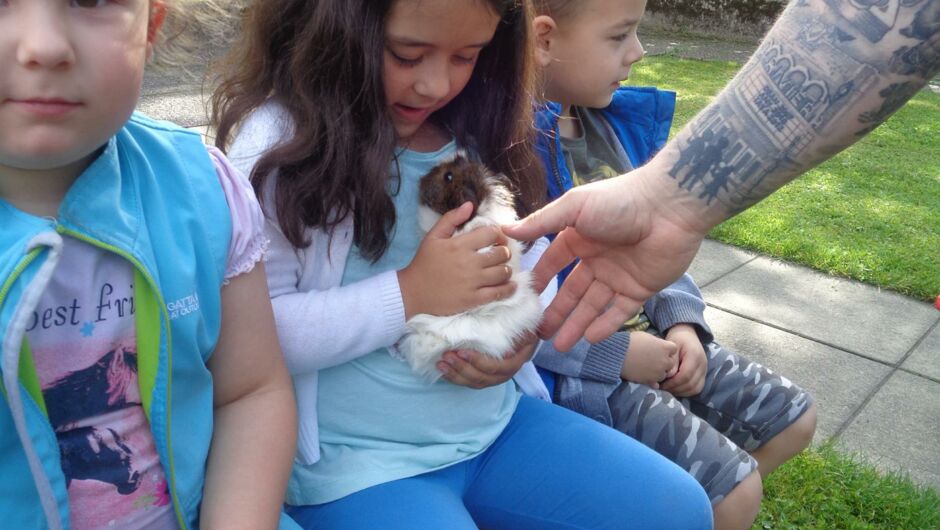 KIGA Augarten: Die kleine OJAD-Farm KIGA Augarten: Die kleine OJAD-Farm