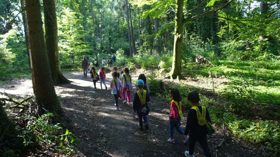 KIGA Rosenlächer: Waldwoche KIGA Rosenlächer: Waldwoche