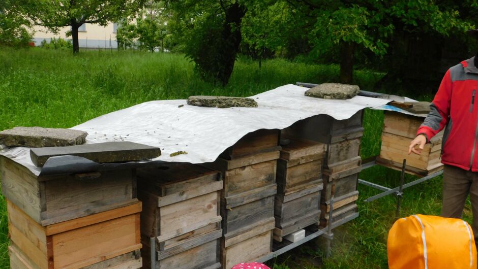 KIGA Wiesenrain: Summ, summ, summ...... KIGA Wiesenrain: Summ, summ, summ......